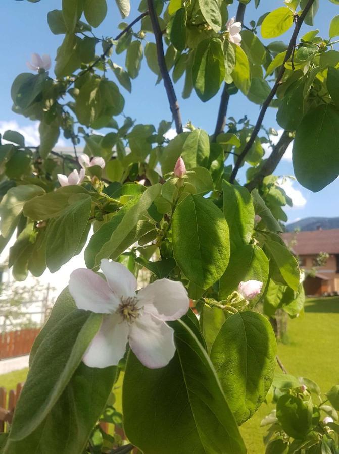 Apartment Holiday Lungoetz Annaberg im Lammertal Εξωτερικό φωτογραφία